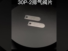 अनुकूलित सेवा यांत्रिक भागों मुद्रांकन भागों वाल्व प्लेट