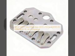 बिटज़र S4BCF वाल्व प्लेट असेंबली (58.0)-LP(6.5), 304069-08, 818601B AC एयर कंप्रेसर के लिए