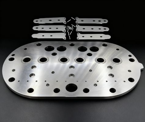 15P कोपलैंड रेफ्रिजरेशन कंप्रेसर वाल्व प्लेट असेंबली और कोल्ड स्टोरेज फ्रीजर के लिए वाल्व रीड