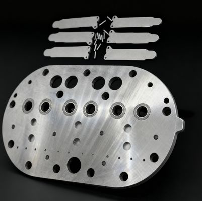 15P कोपलैंड रेफ्रिजरेशन कंप्रेसर वाल्व प्लेट असेंबली और कोल्ड स्टोरेज फ्रीजर के लिए वाल्व रीड