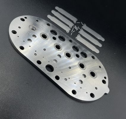 15P कोपलैंड रेफ्रिजरेशन कंप्रेसर वाल्व प्लेट असेंबली और कोल्ड स्टोरेज फ्रीजर के लिए वाल्व रीड